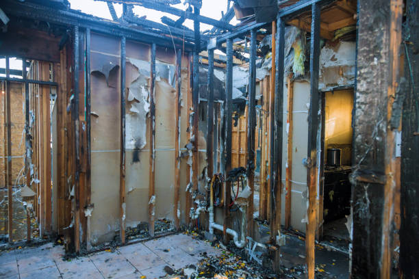 Professional Odor Removal technician working in Saint James City, FL