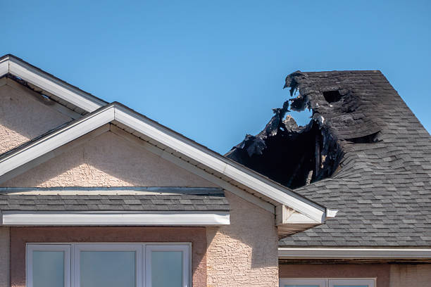 Top rated local Odor Removal specialists in Saint James City, FL